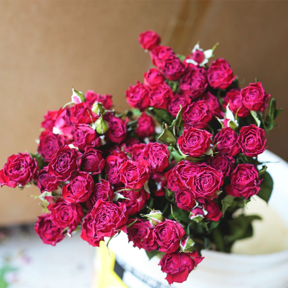 Resin Art Rose - Natural Preserved Dried Rose Flower Bunch