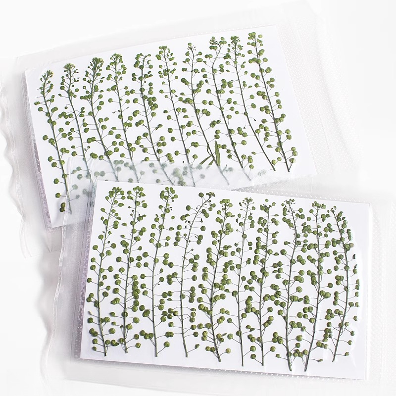 Natural Color Green Bell Grass - Resin Art Baby recension och pris