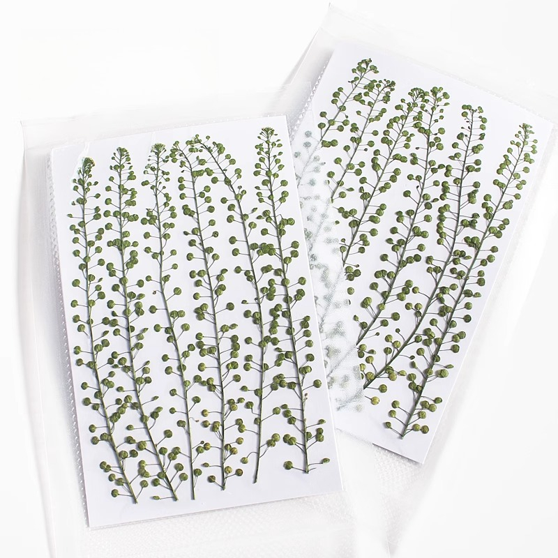 Natural Color Green Bell Grass - Resin Art Baby recension och pris