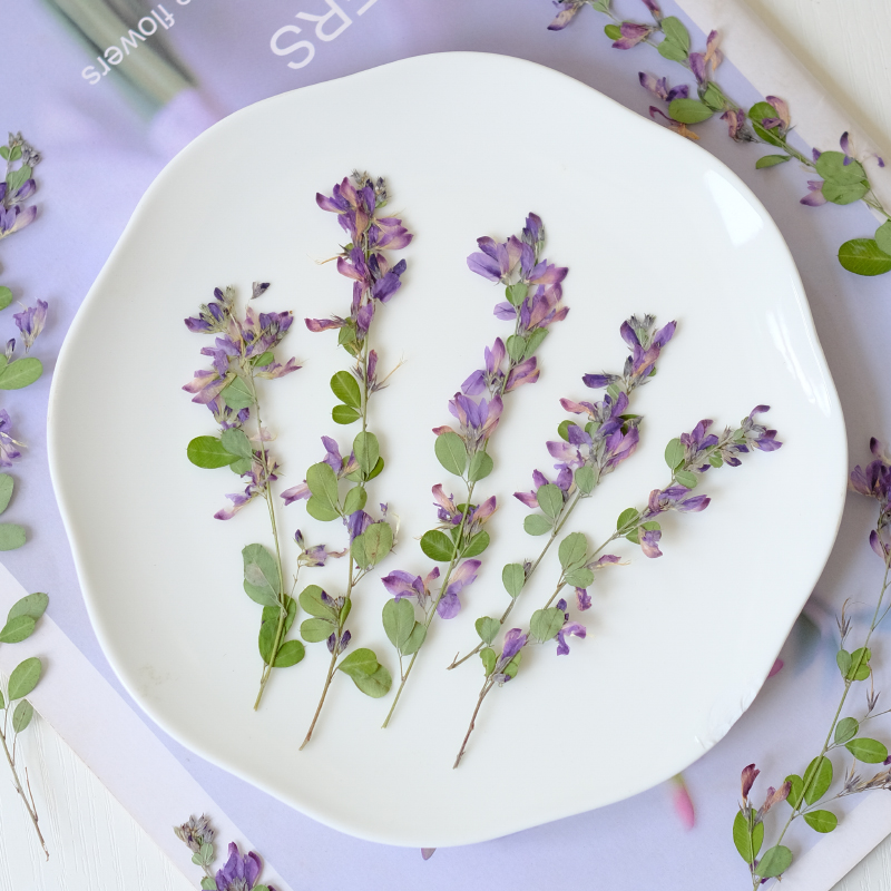6pcs,nature Lespedeza Formosa  - Resin Art Baby recension och pris
