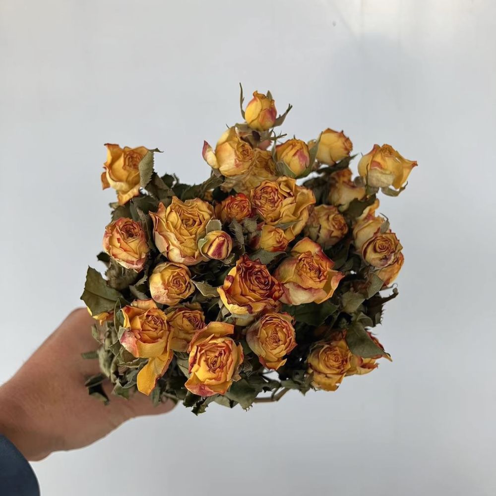 Real Preserved Roses Dried Flo - Resin Art Rose recension och pris