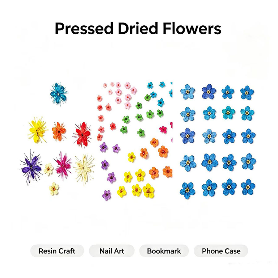 60pcs Mini Pressed Dried Flowe - Resin Art Baby recension och pris