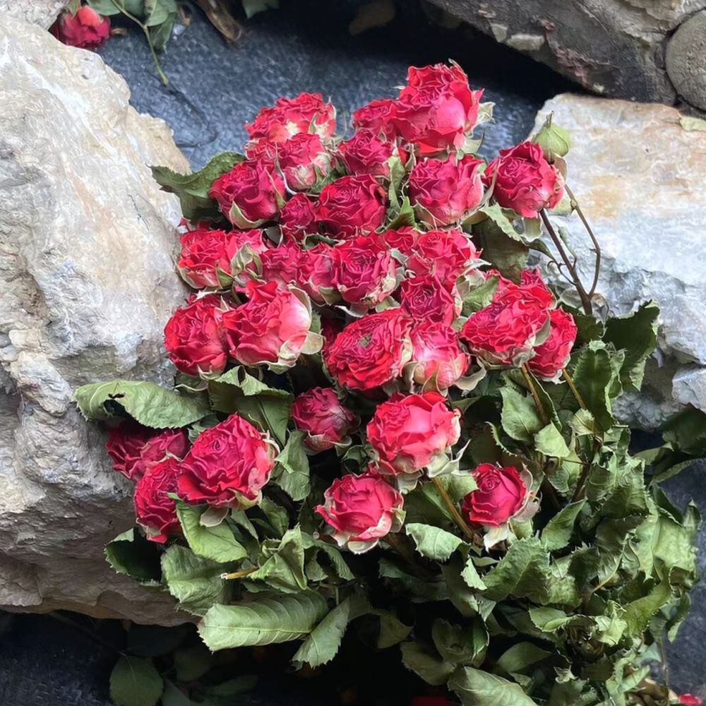 Natural Preserved Dried Rose F - Resin Art Rose recension och pris